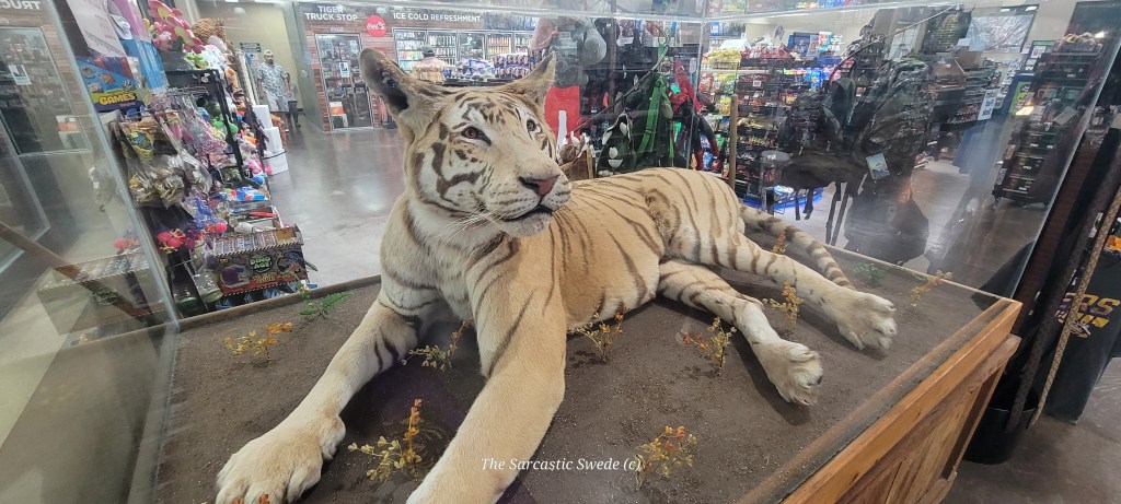 The Silent Destruction: How Human Disrespect Threatens Our Natural&nbsp;World